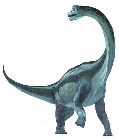 brachiosaurus1.jpg